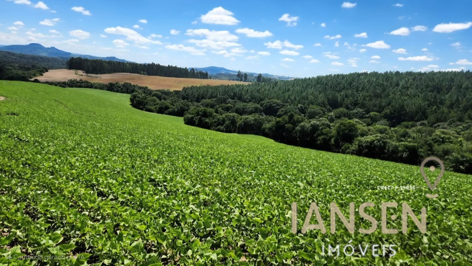 WhatsApp Image 2025-10-11 at 09.37.11 (1)