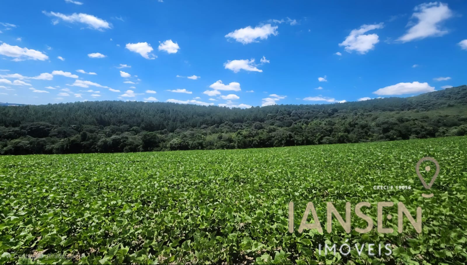 WhatsApp Image 2025-10-11 at 09.37.11