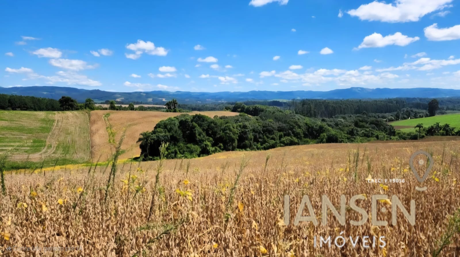 WhatsApp Image 2025-10-11 at 09.37.12 (1)