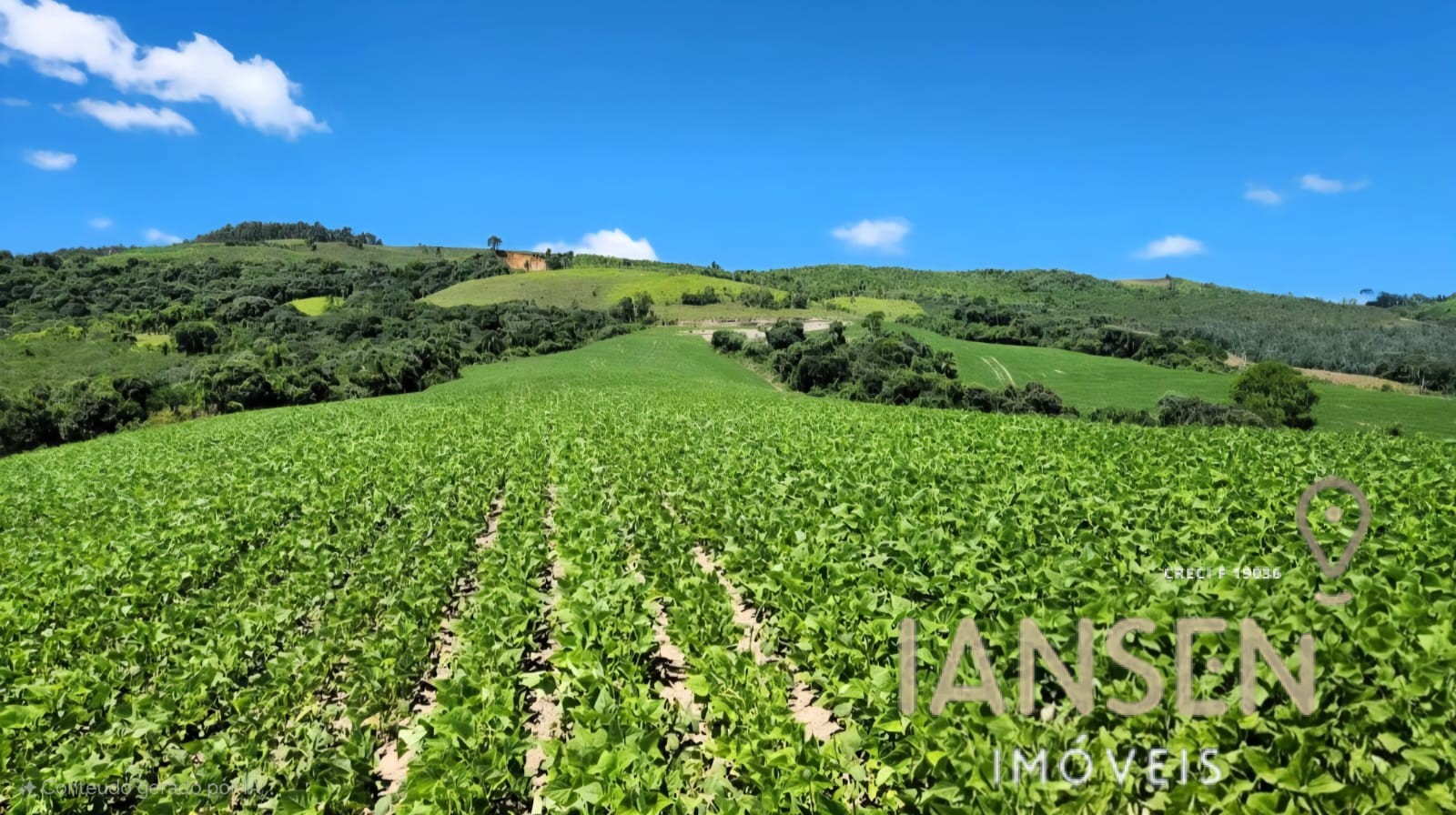 WhatsApp Image 2025-10-11 at 09.37.12 (2)