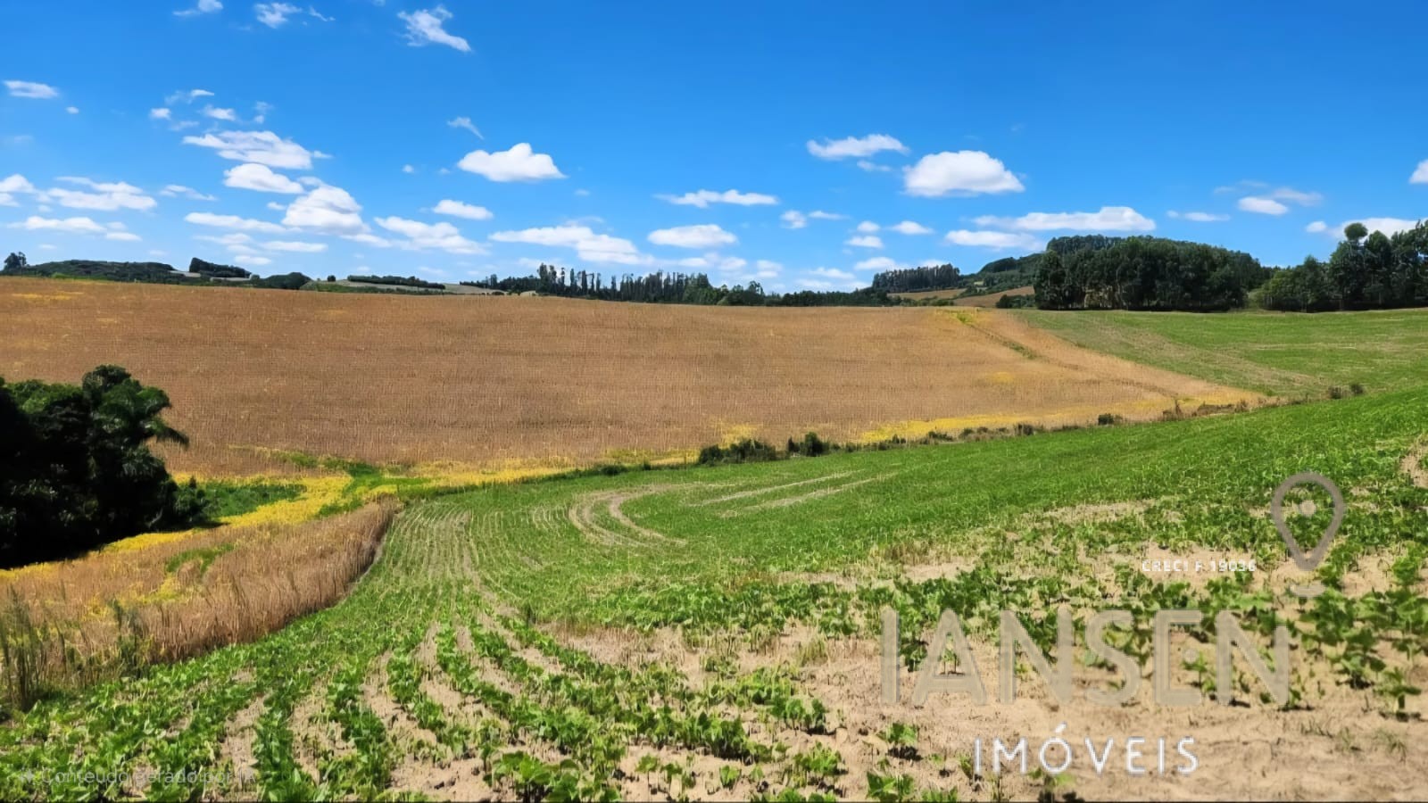 WhatsApp Image 2025-10-11 at 09.37.12 (3)