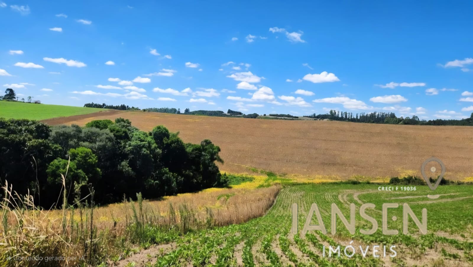 WhatsApp Image 2025-10-11 at 09.37.12