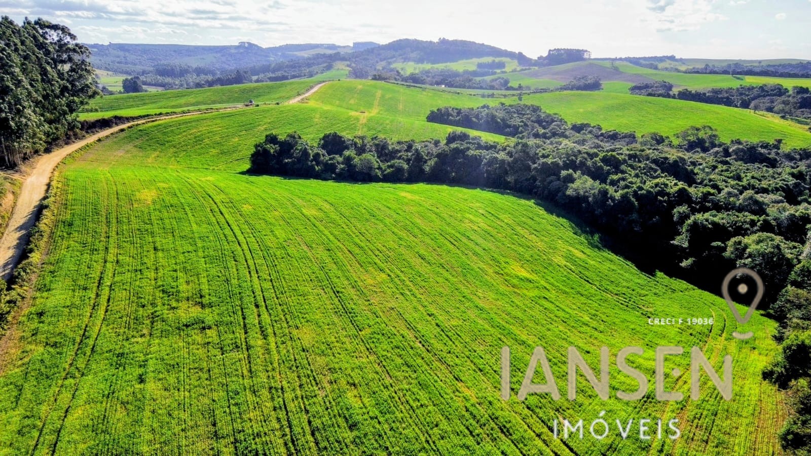 WhatsApp Image 2025-10-11 at 09.38.00