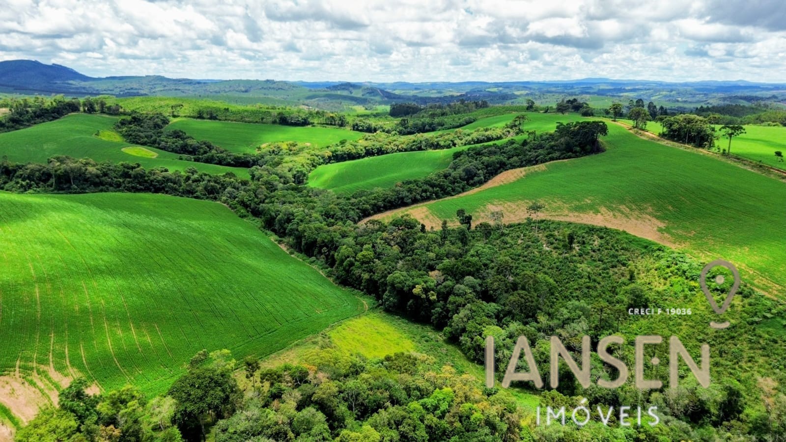 WhatsApp Image 2025-10-11 at 09.44.56 (1)