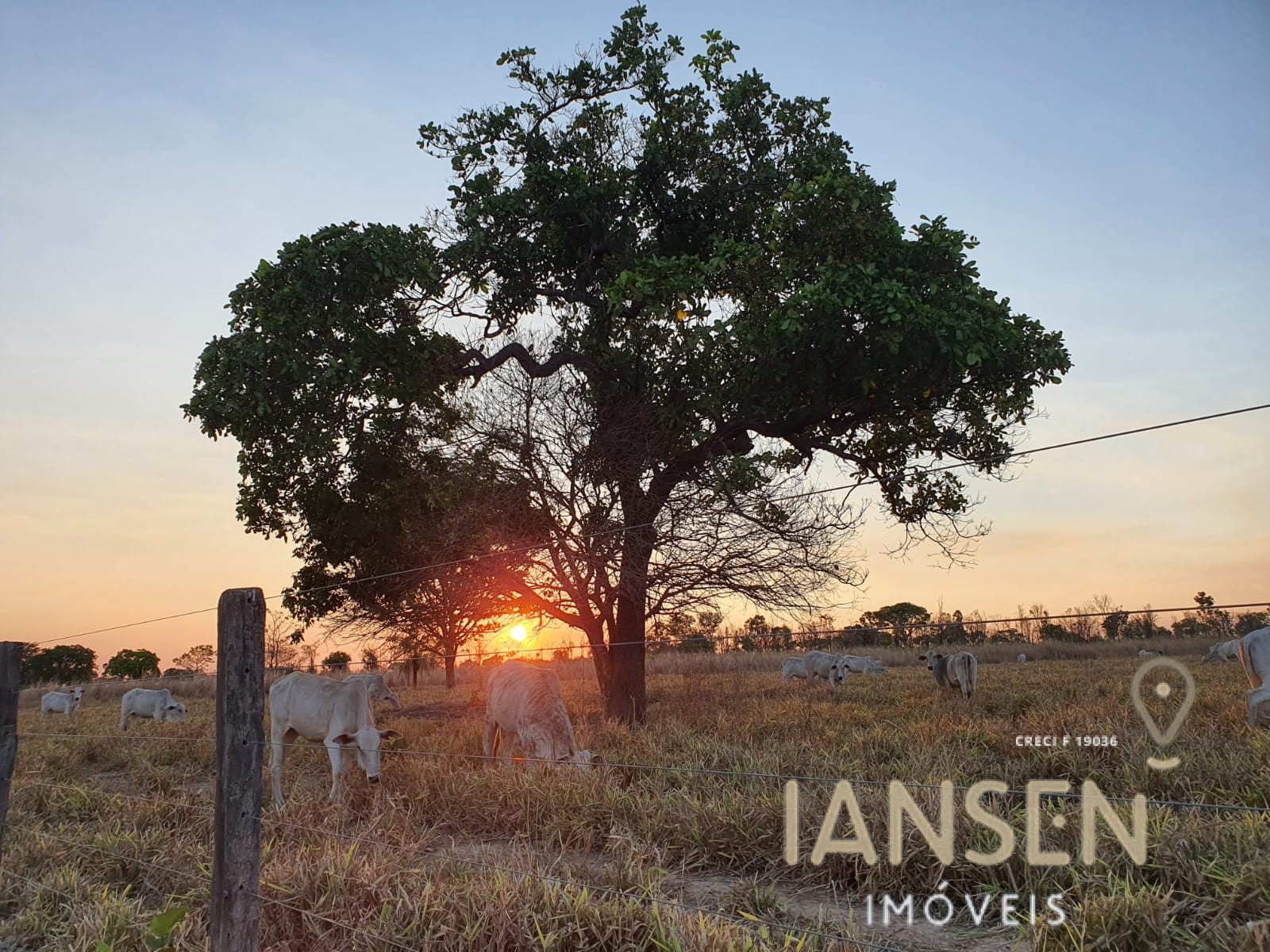 WhatsApp Image 2025-10-29 at 12.24.43