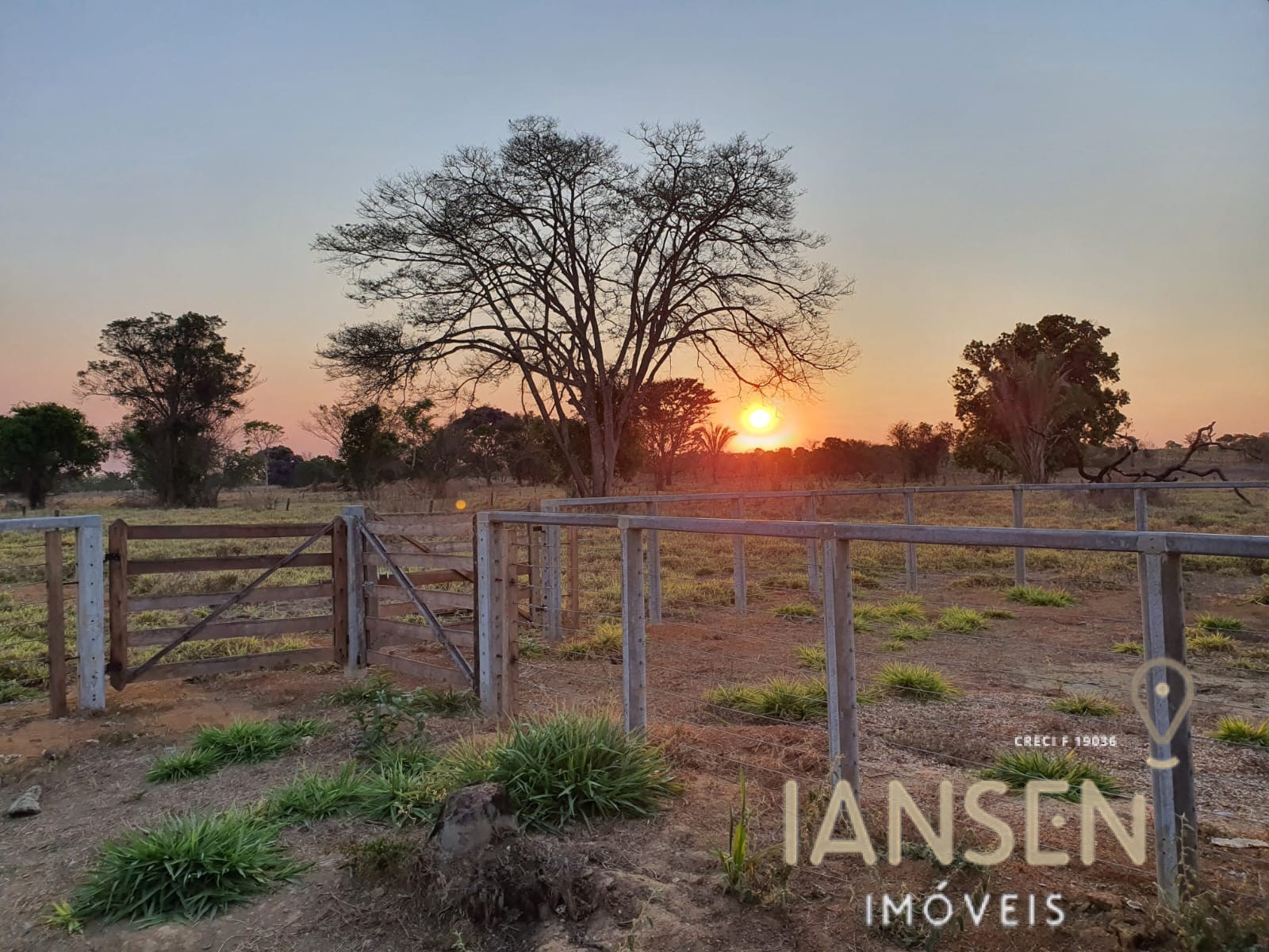 WhatsApp Image 2025-10-29 at 12.24.44 (1)