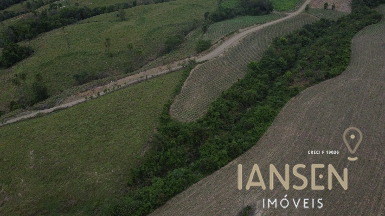 WhatsApp Image 2025-10-31 at 15.17.04 (1)