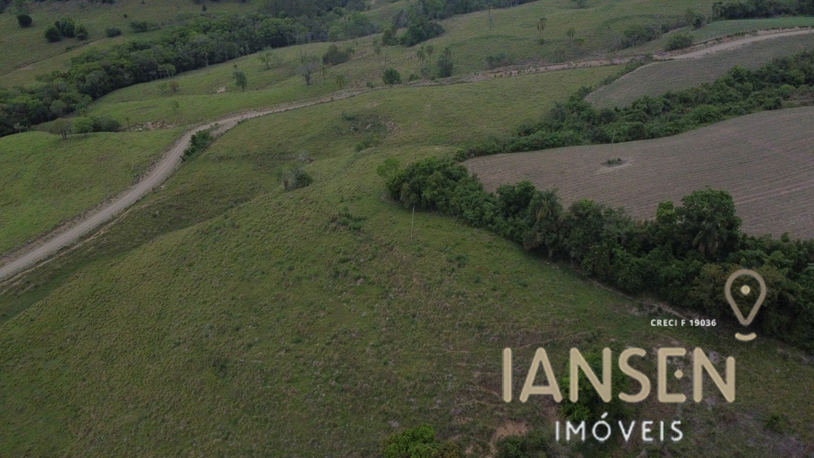 WhatsApp Image 2025-10-31 at 15.17.04