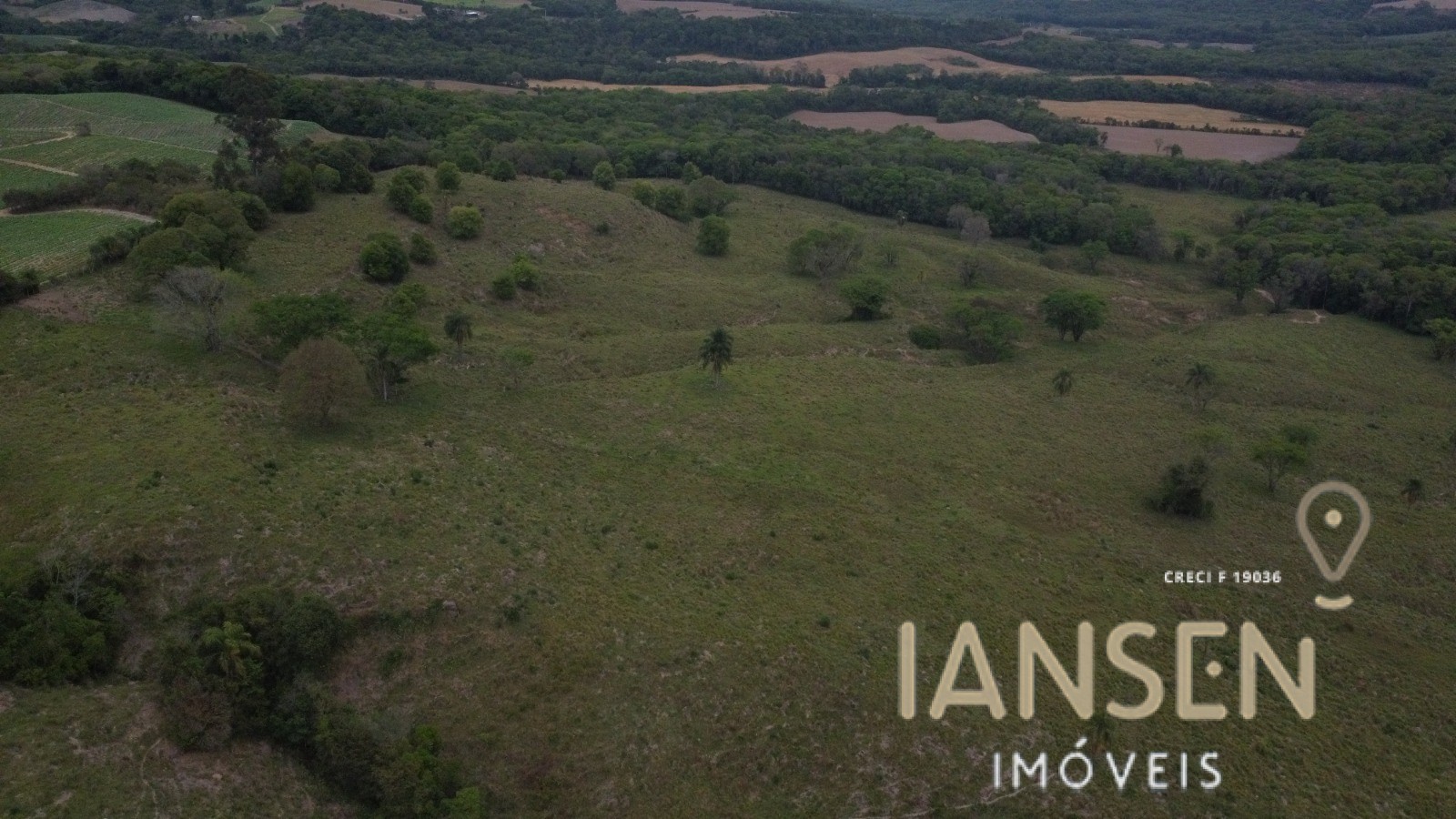 WhatsApp Image 2025-10-31 at 15.17.05 (1)