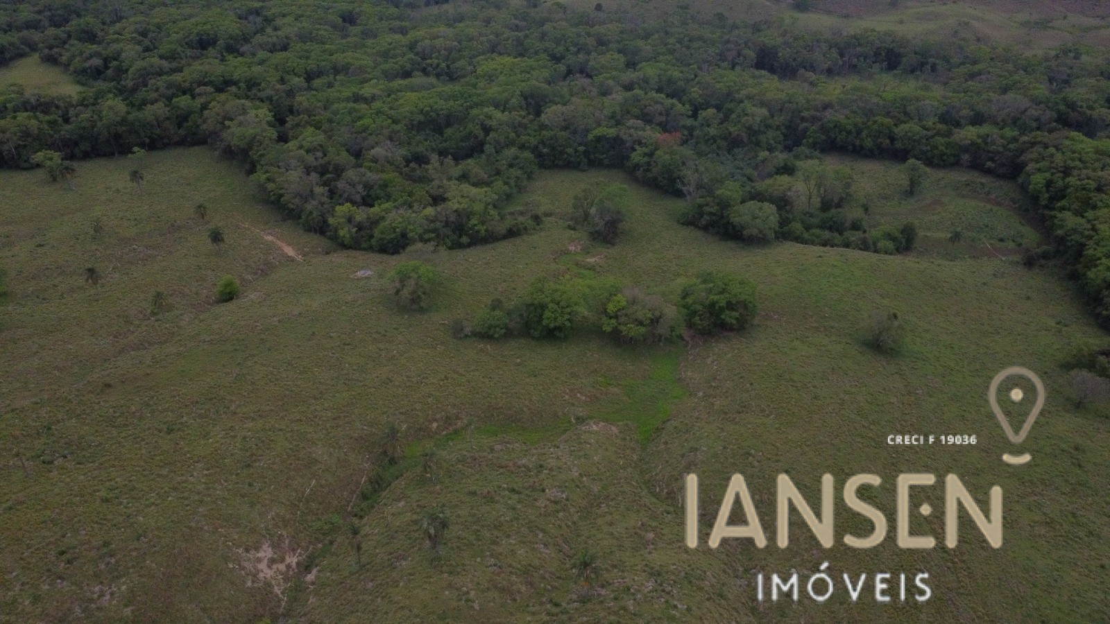 WhatsApp Image 2025-10-31 at 15.17.05