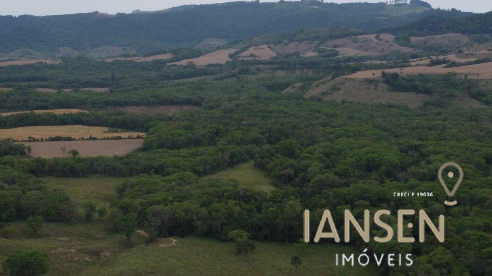 WhatsApp Image 2025-10-31 at 15.17.06 (1)