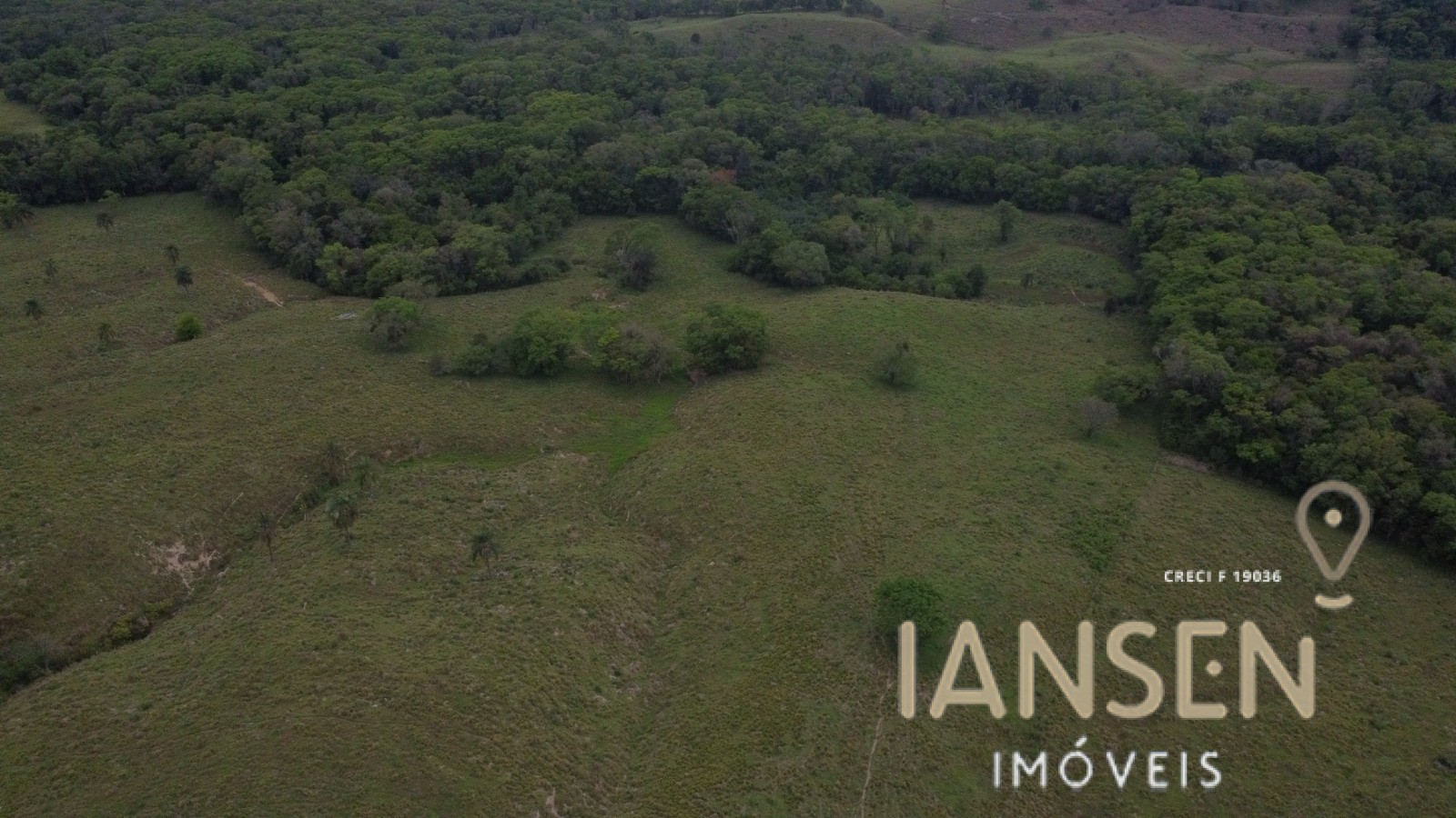 WhatsApp Image 2025-10-31 at 15.17.07 (1)