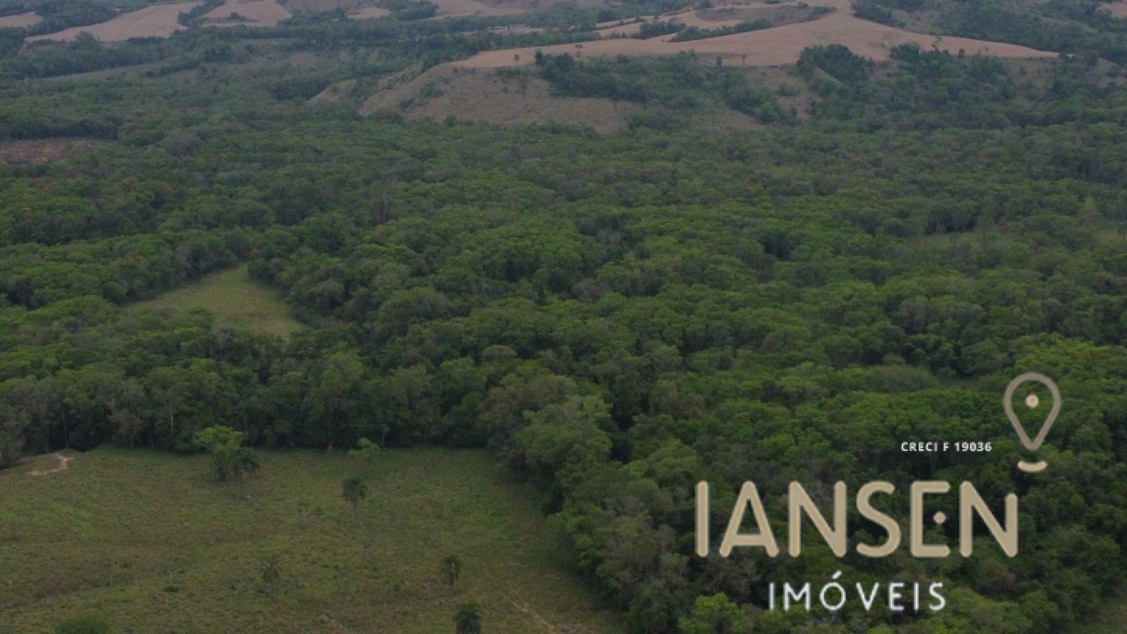 WhatsApp Image 2025-10-31 at 15.17.07