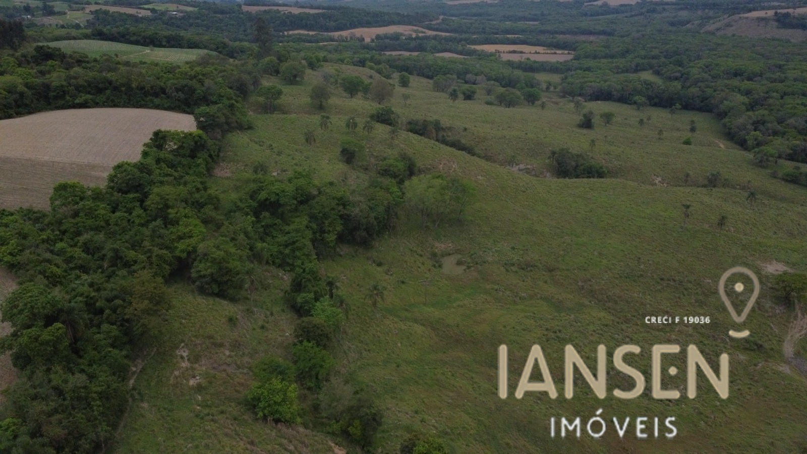 WhatsApp Image 2025-10-31 at 15.17.08 (1)