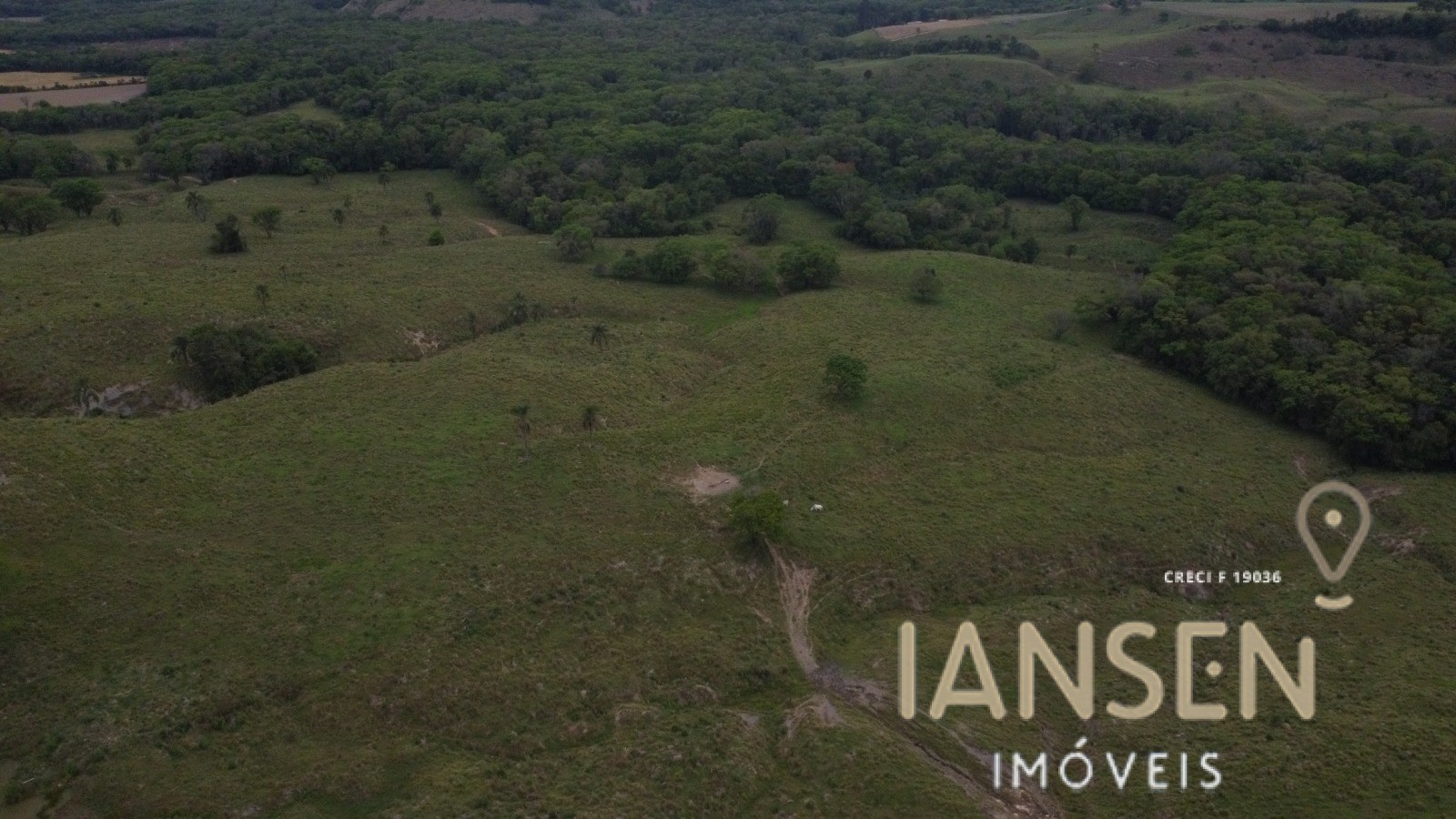 WhatsApp Image 2025-10-31 at 15.17.08