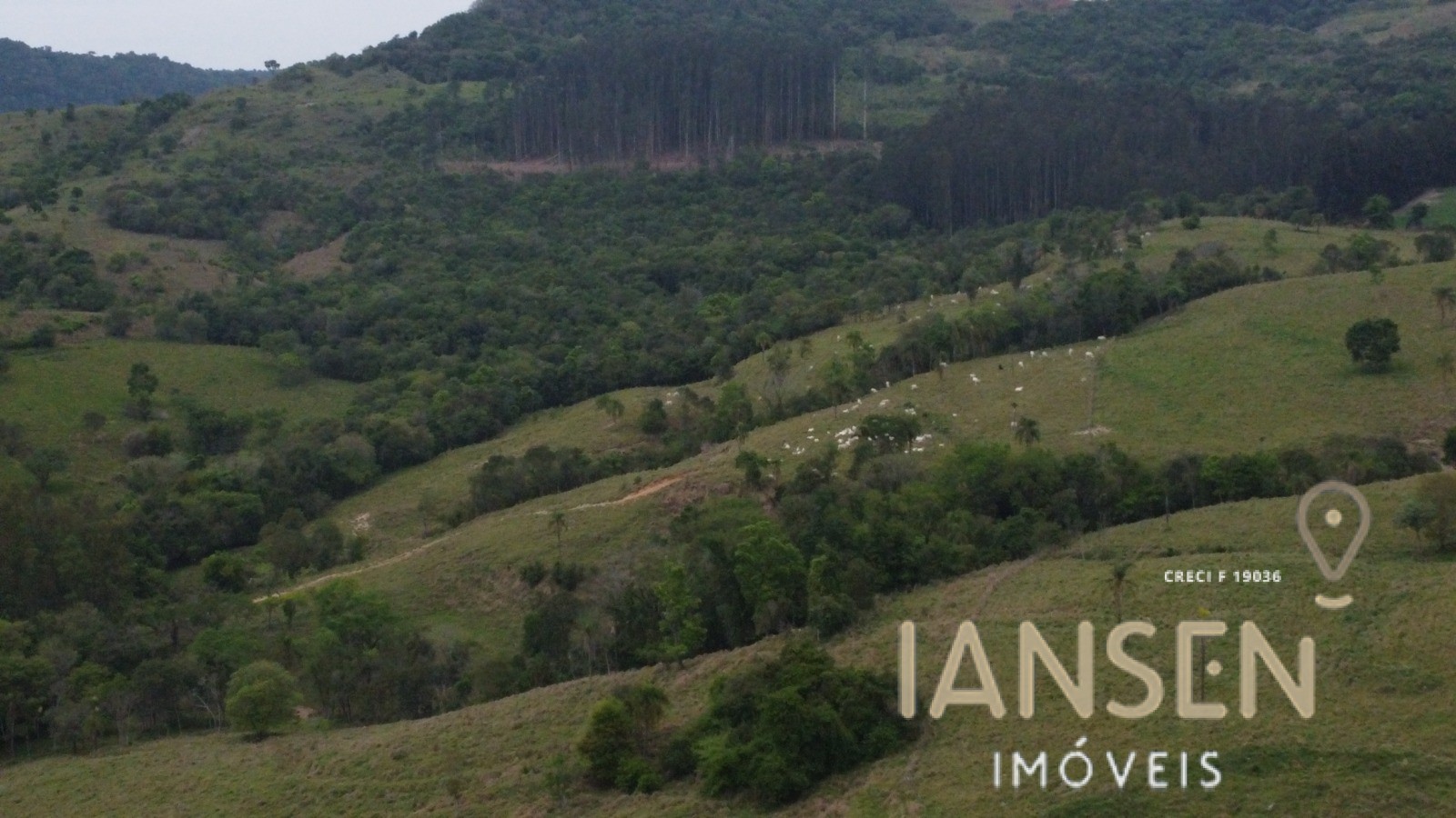 WhatsApp Image 2025-10-31 at 15.17.11