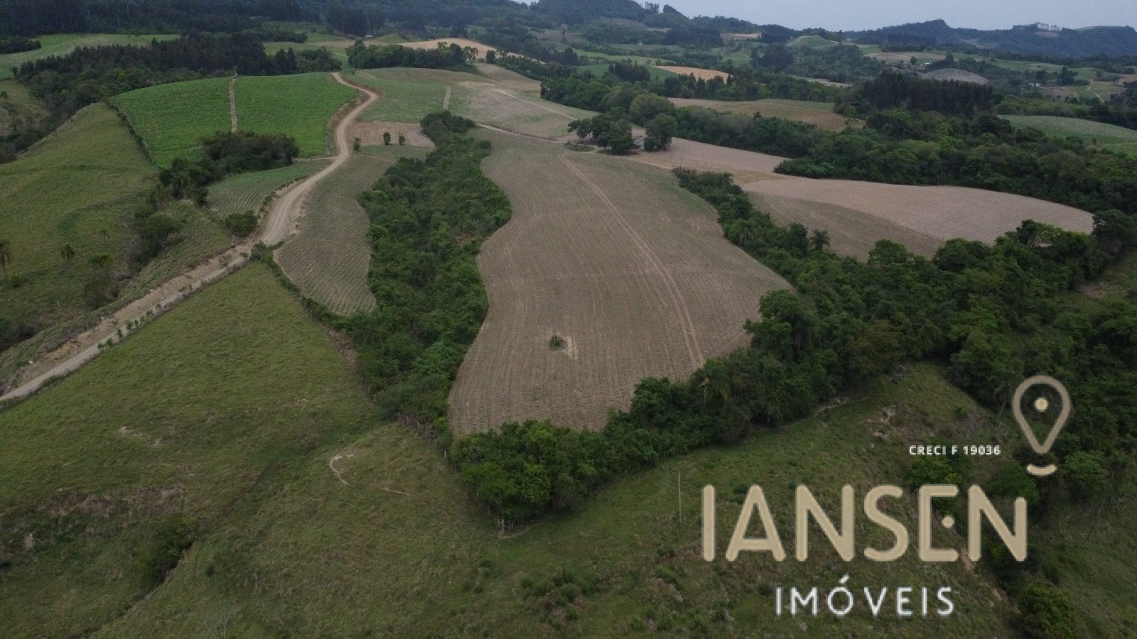 WhatsApp Image 2025-10-31 at 15.17.12