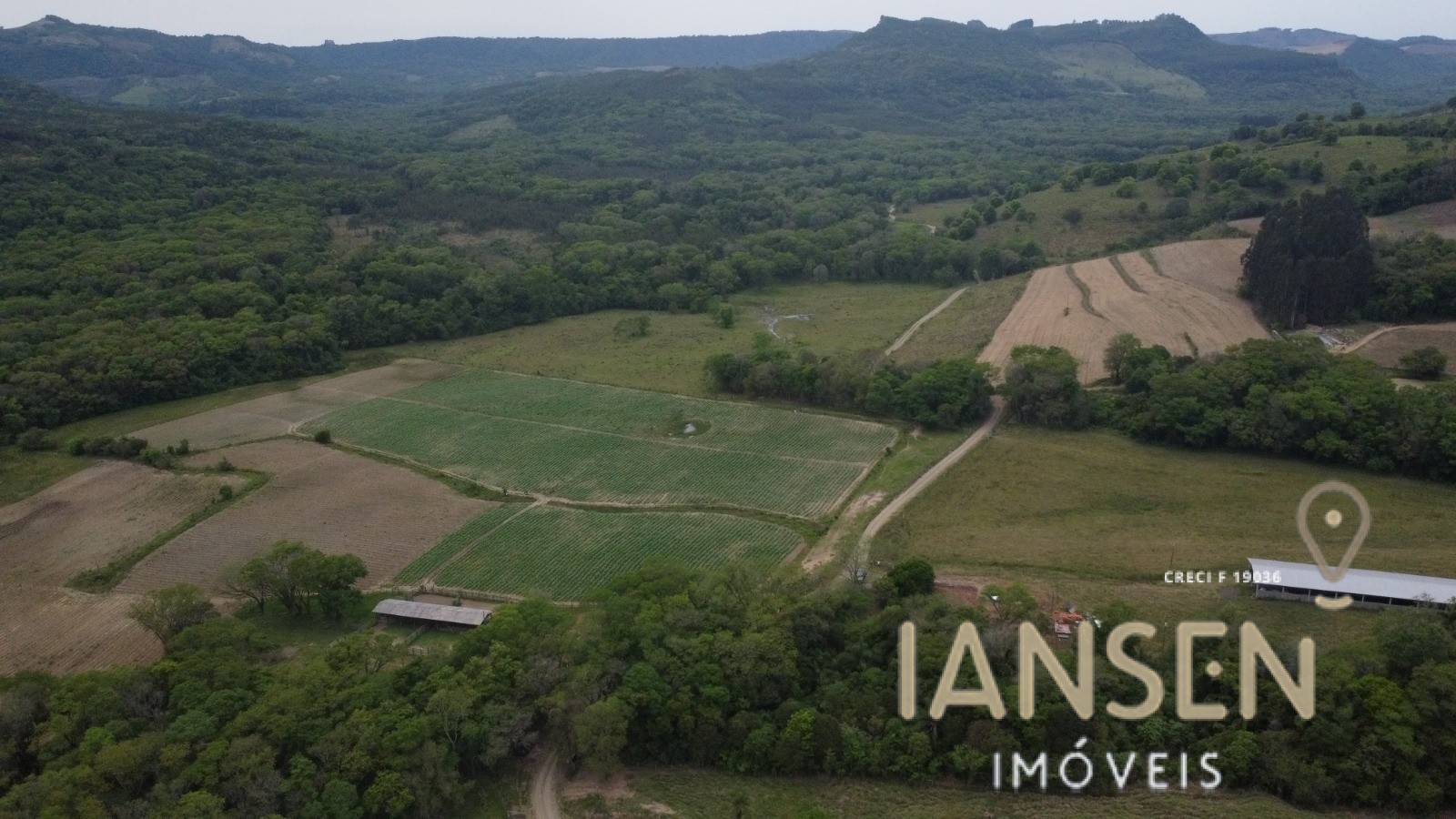 WhatsApp Image 2025-10-31 at 15.17.13