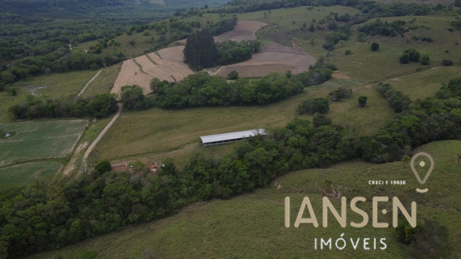 WhatsApp Image 2025-10-31 at 15.17.14