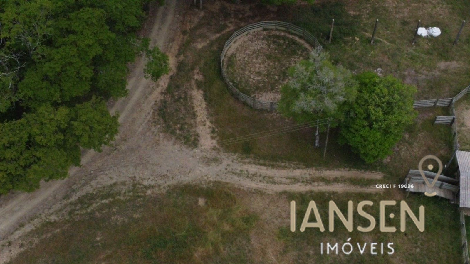 WhatsApp Image 2025-10-31 at 15.17.15