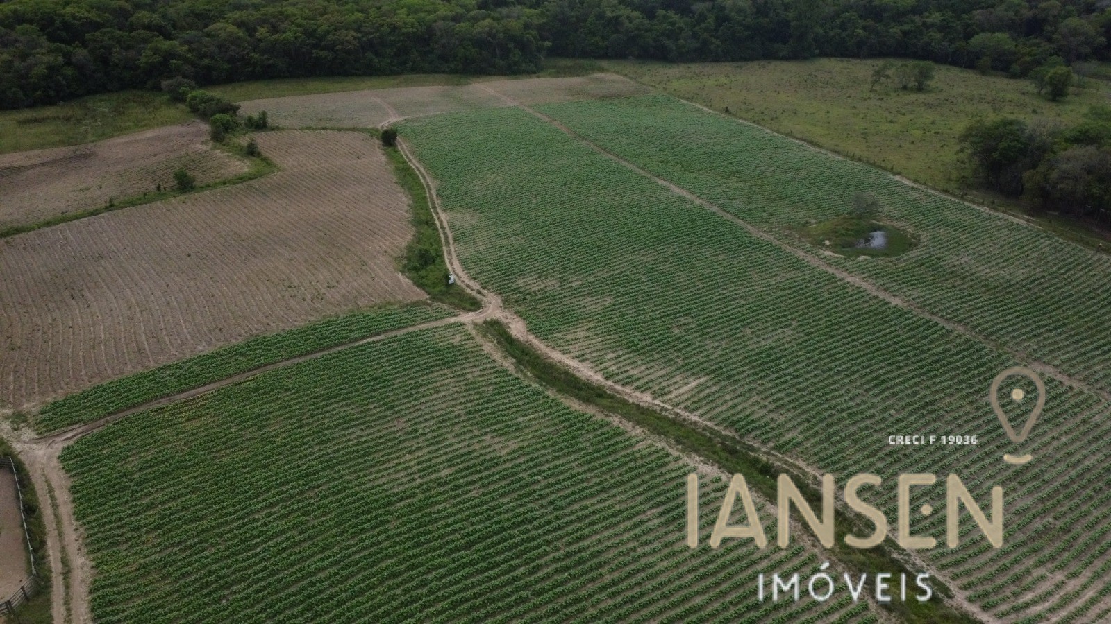 WhatsApp Image 2025-10-31 at 15.17.16 (1)