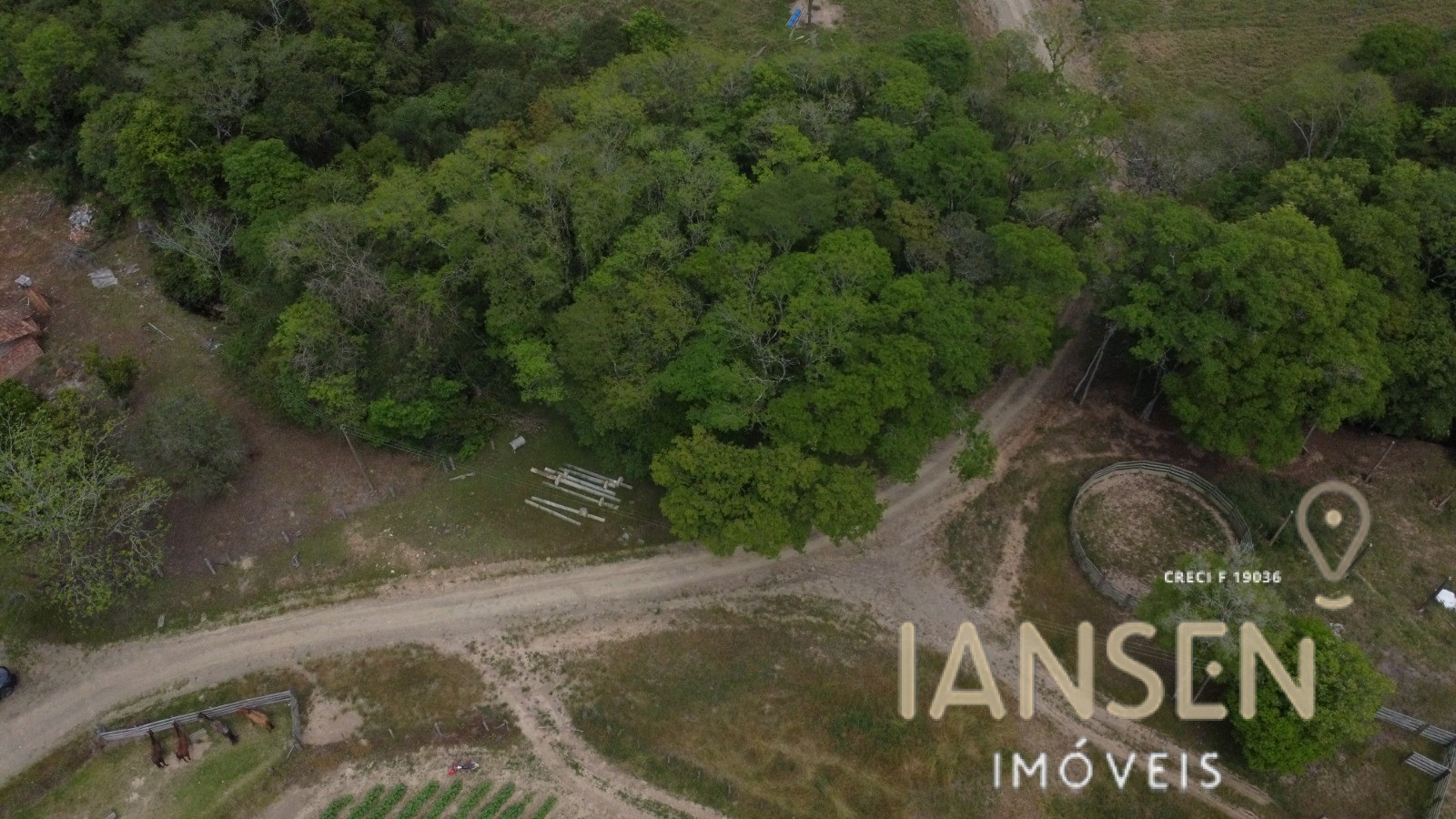 WhatsApp Image 2025-10-31 at 15.17.16