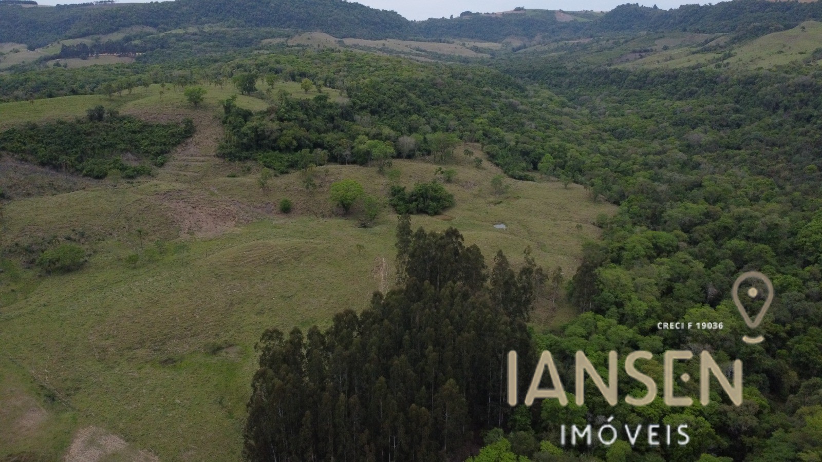 WhatsApp Image 2025-10-31 at 15.17.19