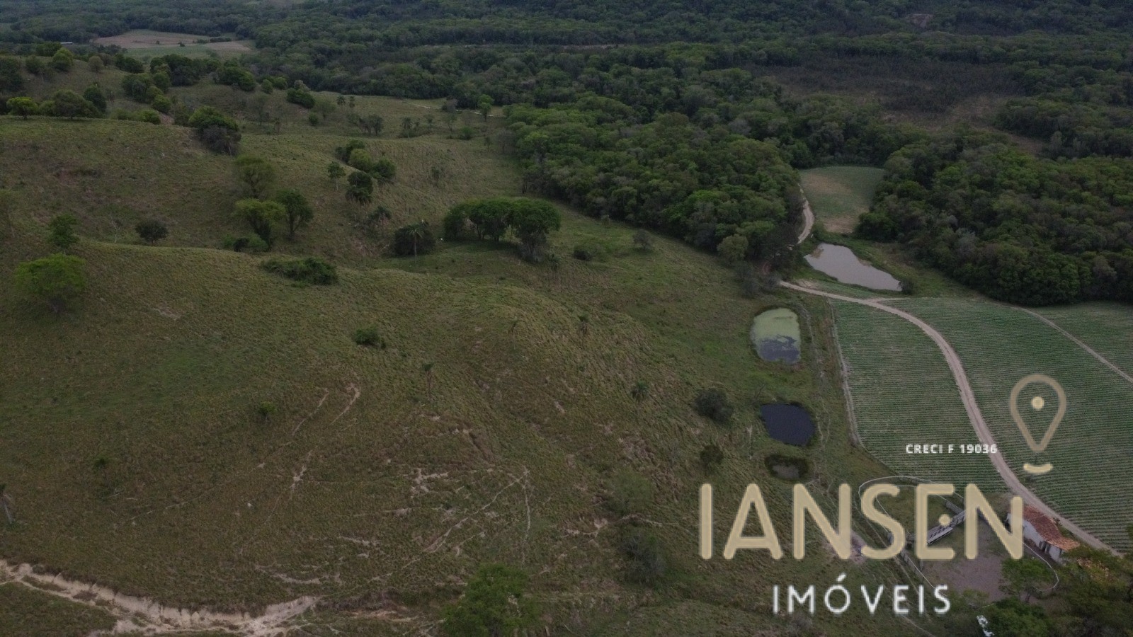 WhatsApp Image 2025-10-31 at 15.17.23 (1)