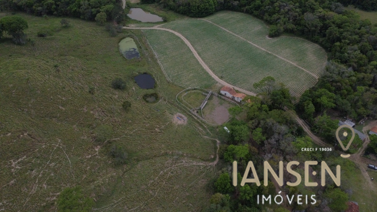 WhatsApp Image 2025-10-31 at 15.17.23