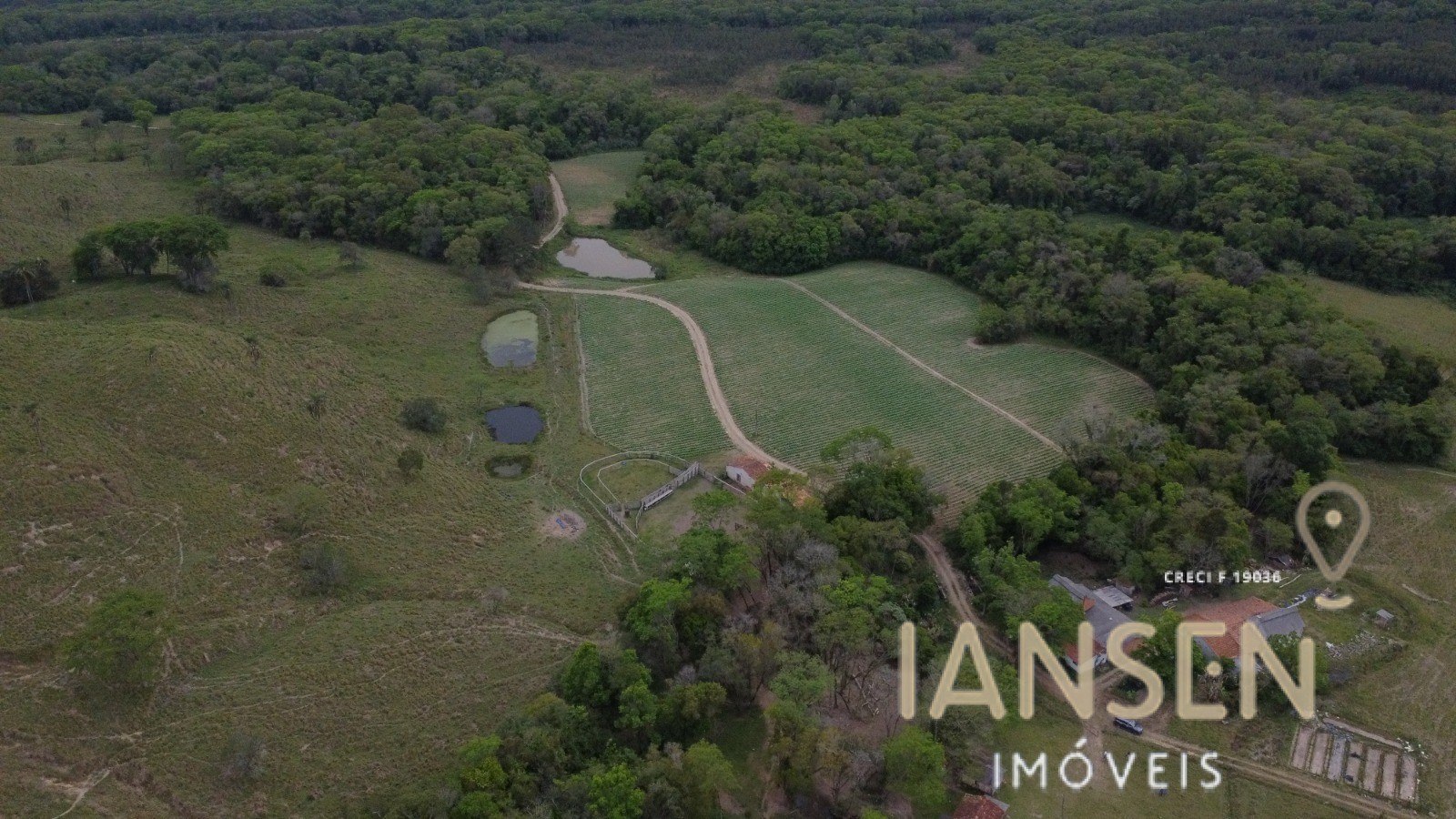 WhatsApp Image 2025-10-31 at 15.17.24