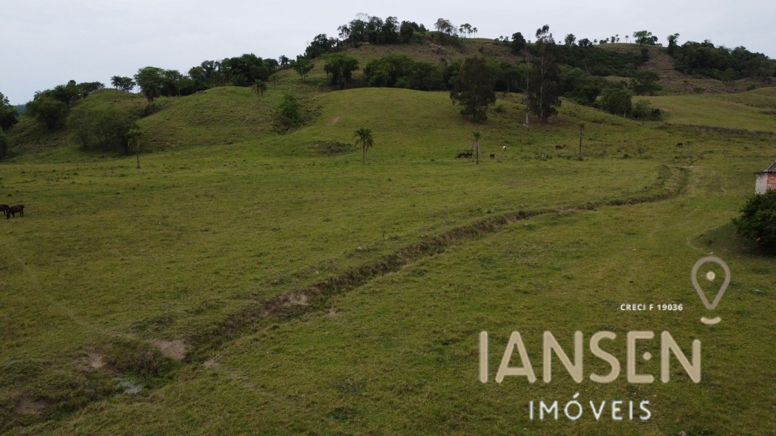 WhatsApp Image 2025-10-31 at 15.17.27