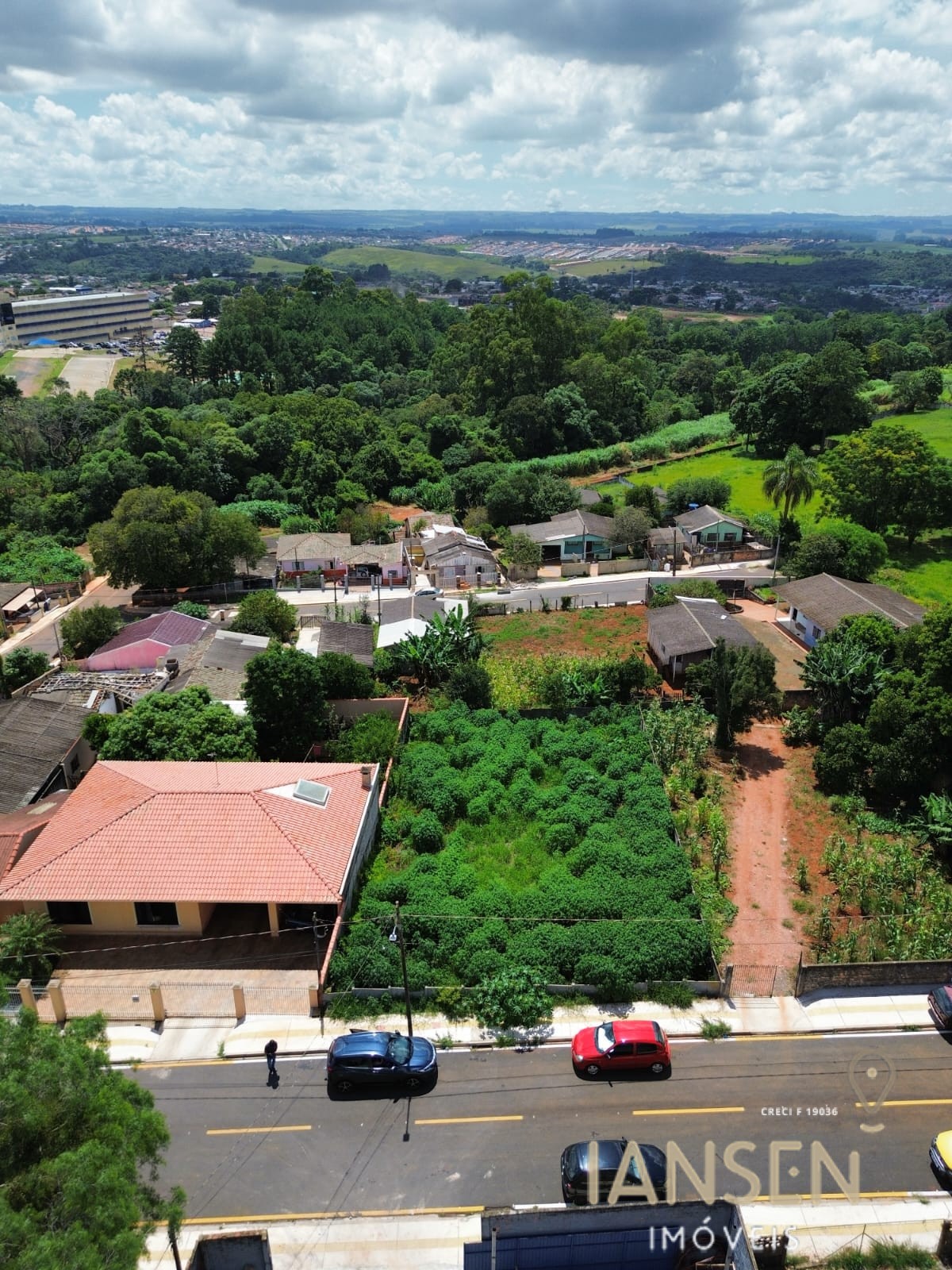 WhatsApp Image 2026-02-12 at 16.15.03