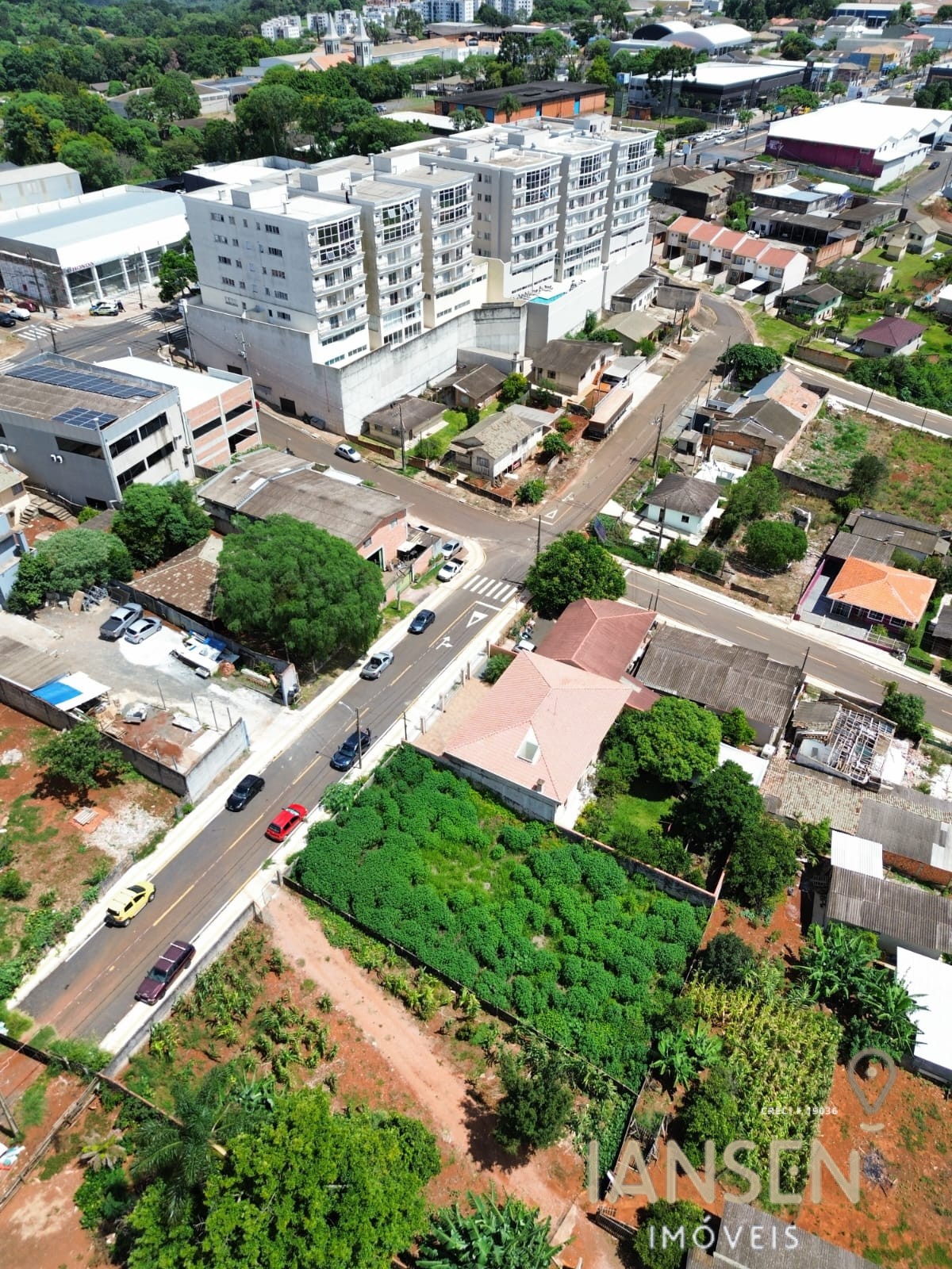 WhatsApp Image 2026-02-12 at 16.15.08 (1)