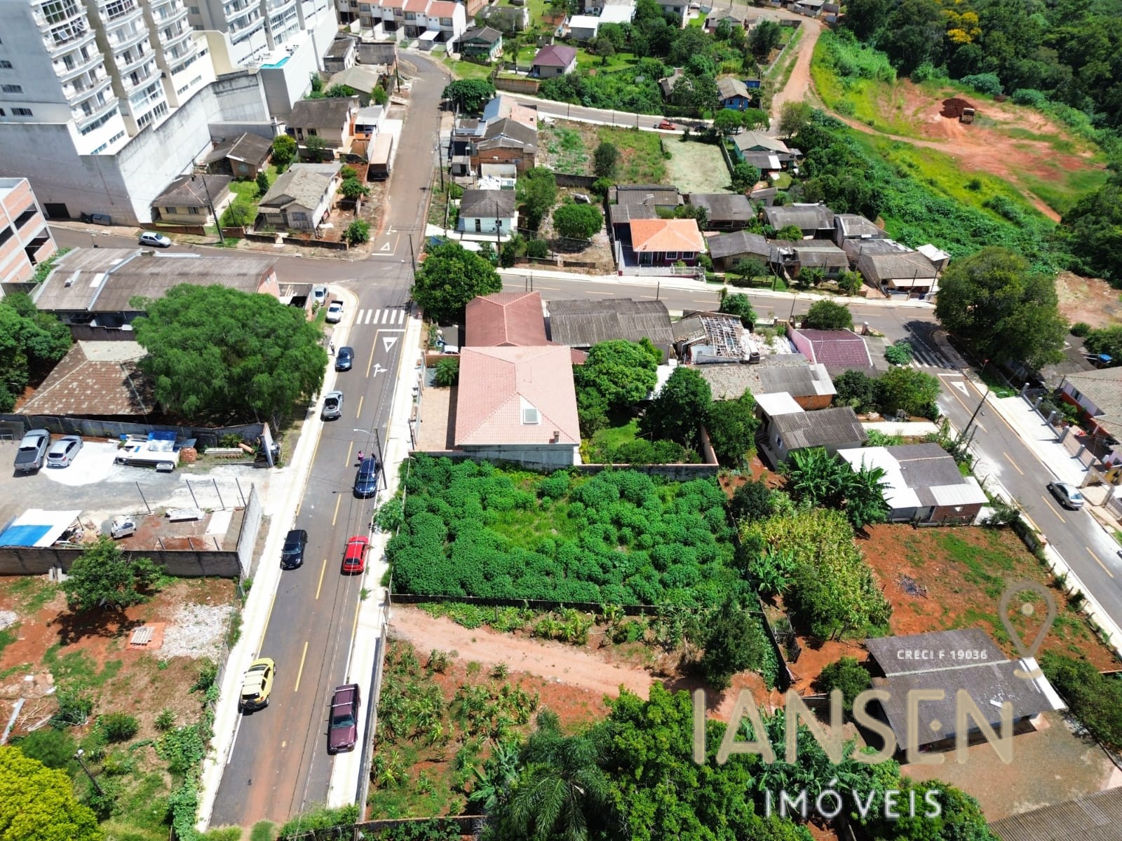 WhatsApp Image 2026-02-12 at 16.15.08 (2)