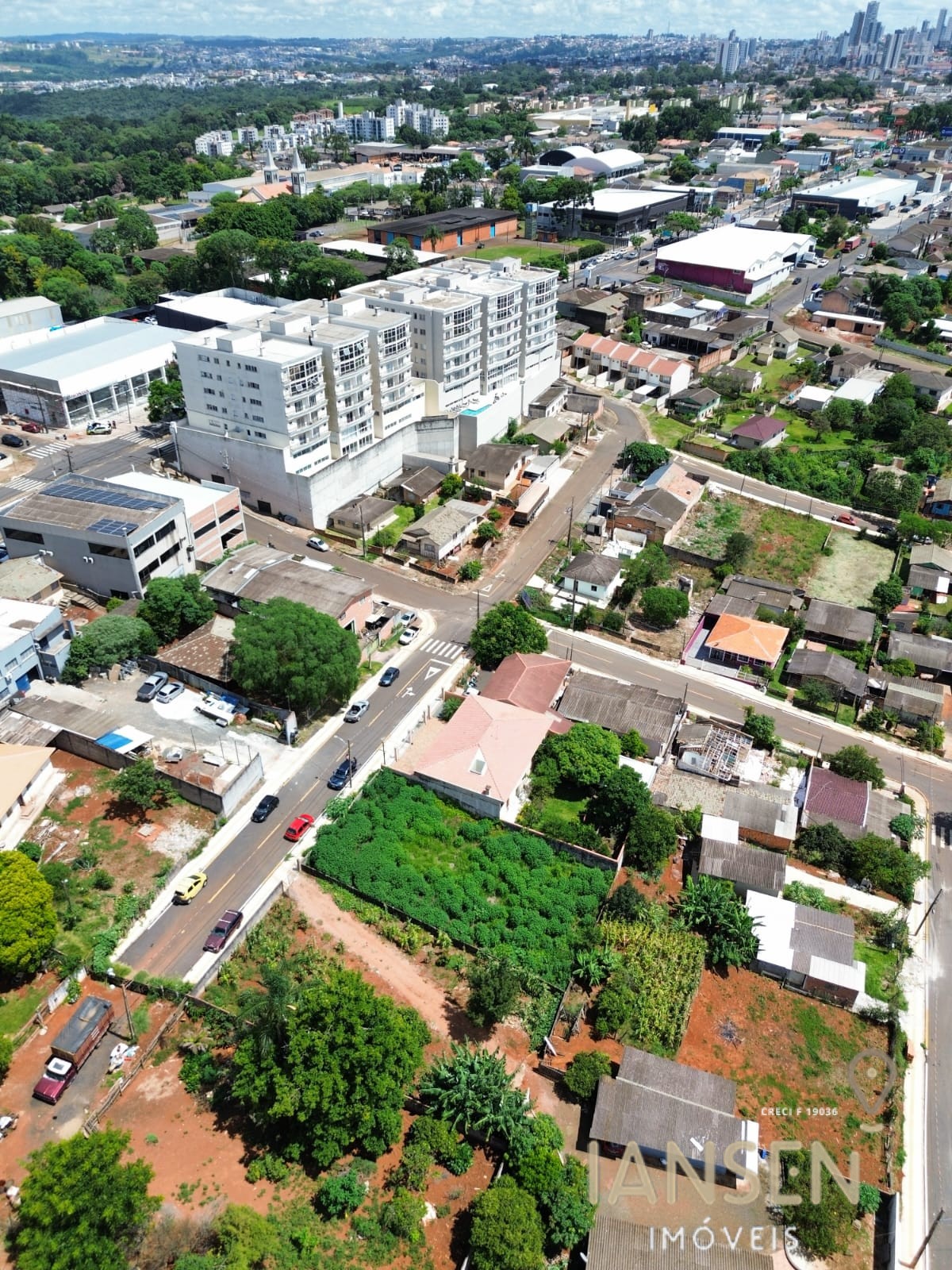 WhatsApp Image 2026-02-12 at 16.15.08 (3)